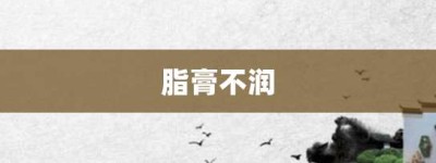 脂膏不润【脂膏不润的意思】- 成语大全