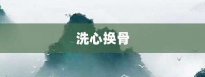 洗心换骨【洗心换骨的意思】- 成语大全