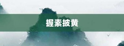 握素披黄【握素披黄的意思】- 成语大全