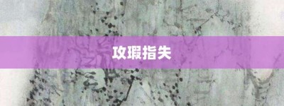 攻瑕指失【攻瑕指失的意思】- 成语大全