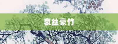 哀丝豪竹【哀丝豪竹的意思】- 成语大全