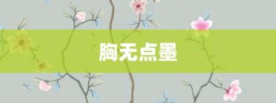 胸无点墨【胸无点墨的意思】- 成语大全