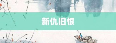 新仇旧恨【新仇旧恨的意思】- 成语大全