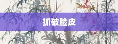 抓破脸皮【抓破脸皮的意思】- 成语大全