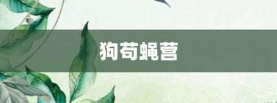 狗苟蝇营【狗苟蝇营的意思】- 成语大全
