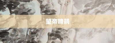 望帝啼鹃【望帝啼鹃的意思】- 成语大全