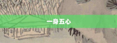 一身五心【一身五心的意思】- 成语大全