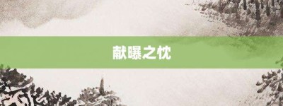 献曝之忱【献曝之忱的意思】- 成语大全