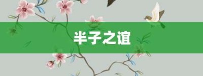 半子之谊【半子之谊的意思】- 成语大全
