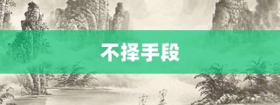不择手段【不择手段的意思】- 成语大全
