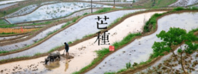 二十四节气中的“芒种”的由来是什么，又会有哪些气候变化呢_民俗文化 菊江历史网