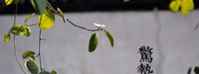 二十四节气中的“惊蛰”的由来是什么，又会有哪些气候变化呢_民俗文化 菊江历史网