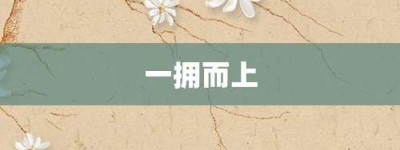 一拥而上【一拥而上的意思】- 成语大全