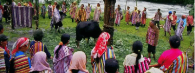 卡雀哇节有哪些活动流程，是人们不可多得的体验_民俗文化 菊江历史网