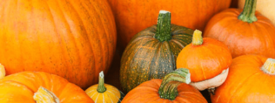 南瓜节是什么，南瓜节是哪个少数民族的节目_民俗文化 菊江历史网