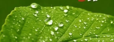 白露：秋季的第三个节气，此时一年中昼夜温差最大_民俗文化 菊江历史网