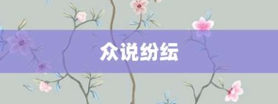 众说纷纭【众说纷纭的意思】- 成语大全