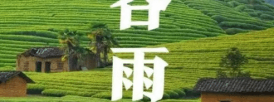 谷雨三候指的是什么，谷雨时节有哪些习俗_民俗文化 菊江历史网