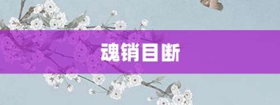 魂销目断【魂销目断的意思】- 成语大全