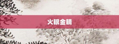火眼金睛【火眼金睛的意思】- 成语大全