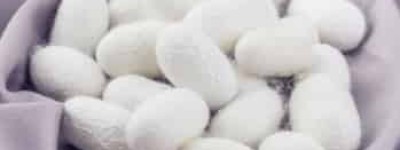 山背大兄王简介，山背大兄王是谁_世界古代史 菊江历史网