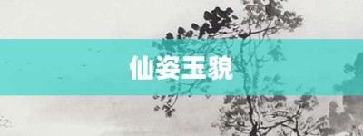 仙姿玉貌【仙姿玉貌的意思】- 成语大全