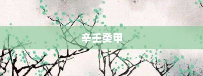 辛壬癸甲【辛壬癸甲的意思】- 成语大全
