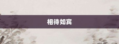 相待如宾【相待如宾的意思】- 成语大全