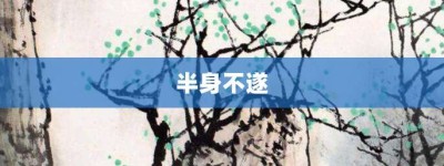 半身不遂【半身不遂的意思】- 成语大全
