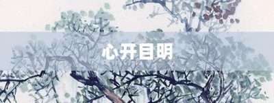 心开目明【心开目明的意思】- 成语大全