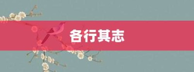 各行其志【各行其志的意思】- 成语大全