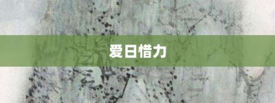 爱日惜力【爱日惜力的意思】- 成语大全