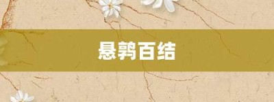 悬鹑百结【悬鹑百结的意思】- 成语大全