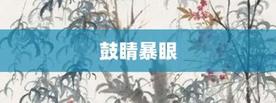 鼓睛暴眼【鼓睛暴眼的意思】- 成语大全