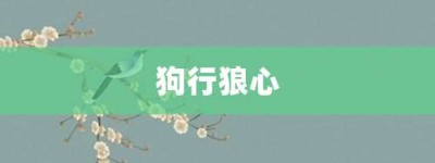 狗行狼心【狗行狼心的意思】- 成语大全