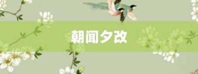 朝闻夕改【朝闻夕改的意思】- 成语大全