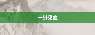 一针见血【一针见血的意思】- 成语大全