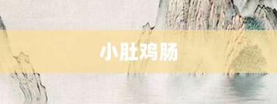 小肚鸡肠【小肚鸡肠的意思】- 成语大全