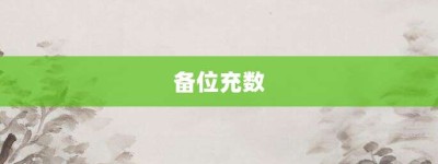 备位充数【备位充数的意思】- 成语大全