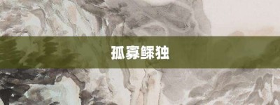 孤寡鳏独【孤寡鳏独的意思】- 成语大全