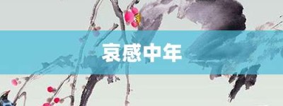哀感中年【哀感中年的意思】- 成语大全