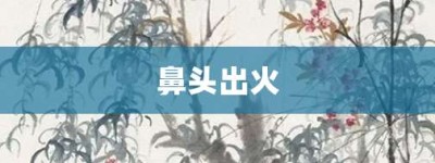 鼻头出火【鼻头出火的意思】- 成语大全