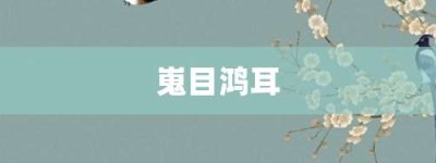 嵬目鸿耳【嵬目鸿耳的意思】- 成语大全