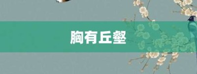 胸有丘壑【胸有丘壑的意思】- 成语大全