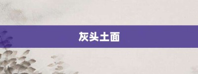 灰头土面【灰头土面的意思】- 成语大全