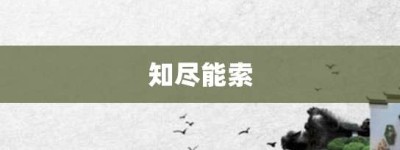 知尽能索【知尽能索的意思】- 成语大全