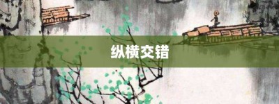 纵横交错【纵横交错的意思】- 成语大全