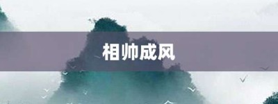 相帅成风【相帅成风的意思】- 成语大全