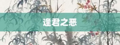 逢君之恶【逢君之恶的意思】- 成语大全