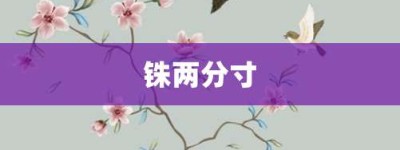 铢两分寸【铢两分寸的意思】- 成语大全